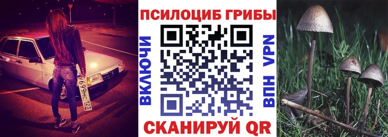 цены   Артём  Псилоцибиновые грибы Cubensis 